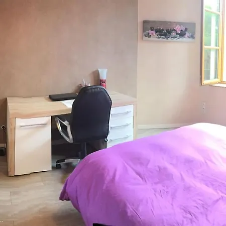 Appartement T3 De Charme Idealement Situe
